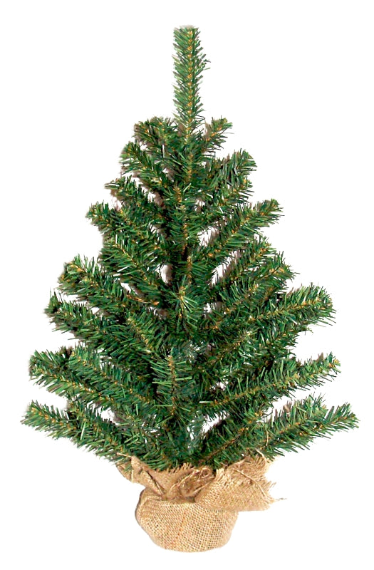 SANTAS FOREST INC 11118 Holiday Tree 18 INCH B&B, 18"