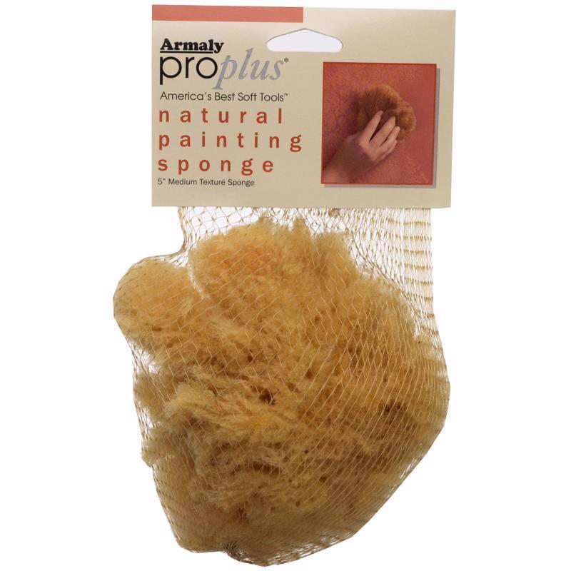 Armaly Brands 15216-7 Sponge PNT Med Txtur6
