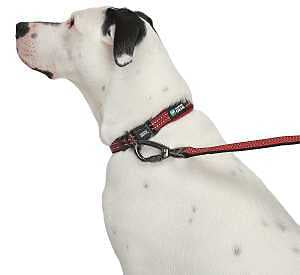 Guardian Gear Reflective Nylon O-Ring Dog Collars (Large, Red)