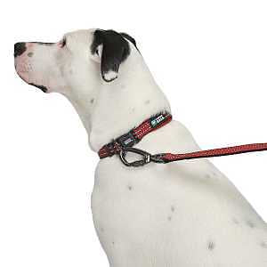 Guardian Gear GG Reflect Nylon O-Ring Collar XL Red