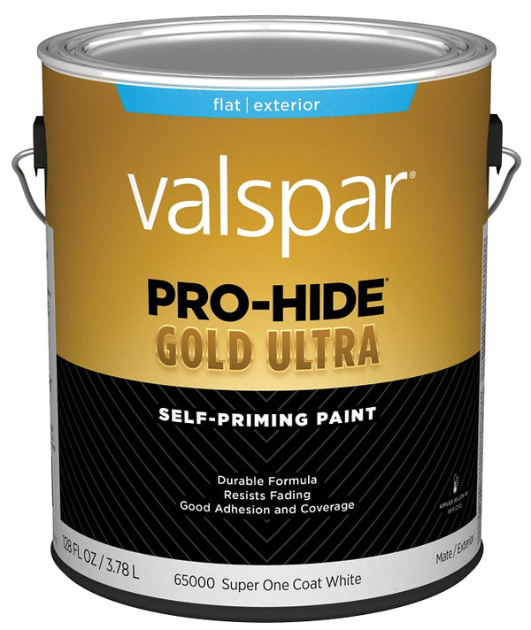 Valspar Paint EXT Flat SUPR ONE CT WHT 028.0065000.007