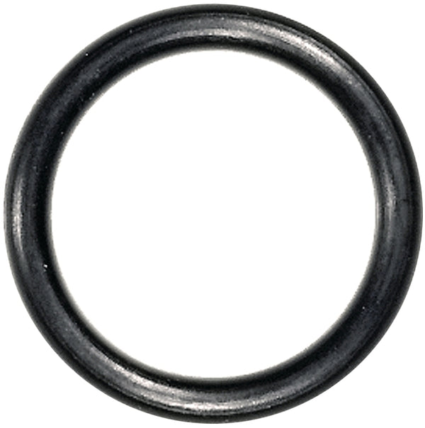 Danco 7/8 in. OD x 11/16 in. ID, Rubber, #13 O-Ring, 10 per Card, 96730
