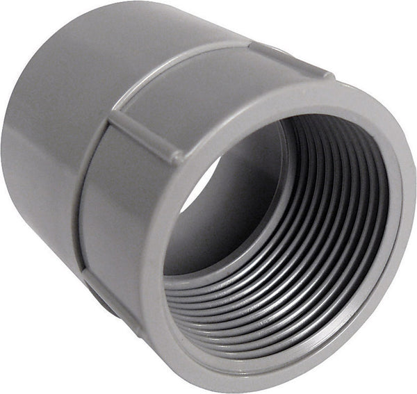 Cantex 3 in. Dia. PVC Female Adapter (5140050C)