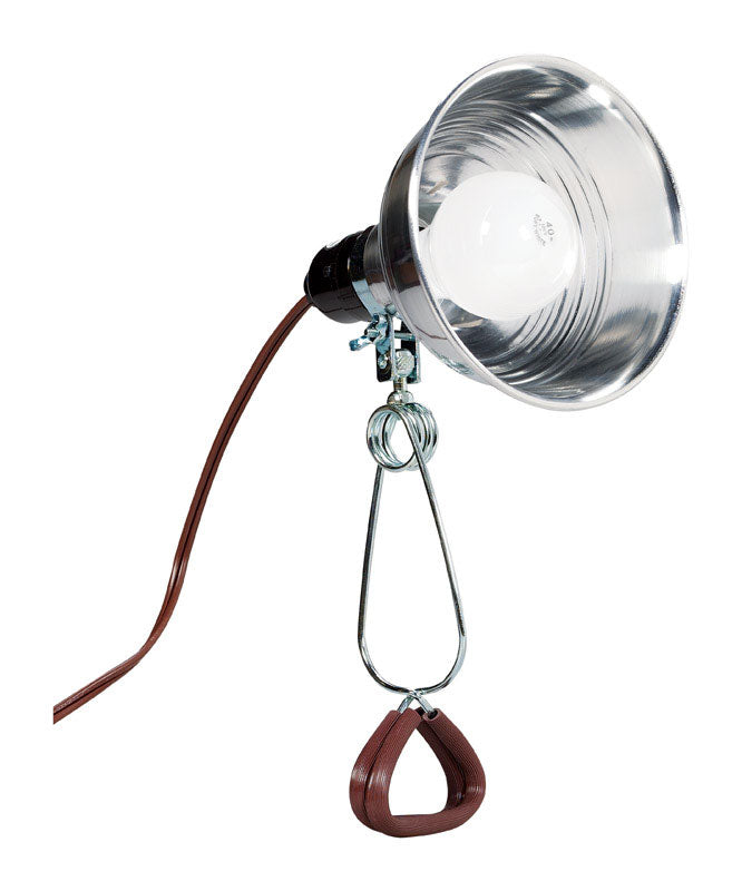 CLAMPLMP 60W 18/2 SPT2 (Pack of 6)