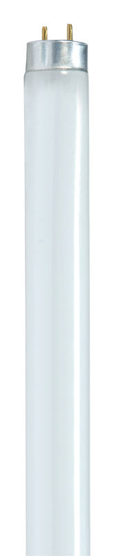 Satco 32 watts T8 1 in. Dia. x 47.78 in. L Fluorescent Bulb Cool White Linear 4100 K 1 pk