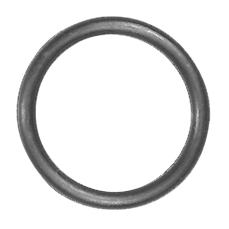 Danco Perfect Match 35749B 35 O-ring, No Color