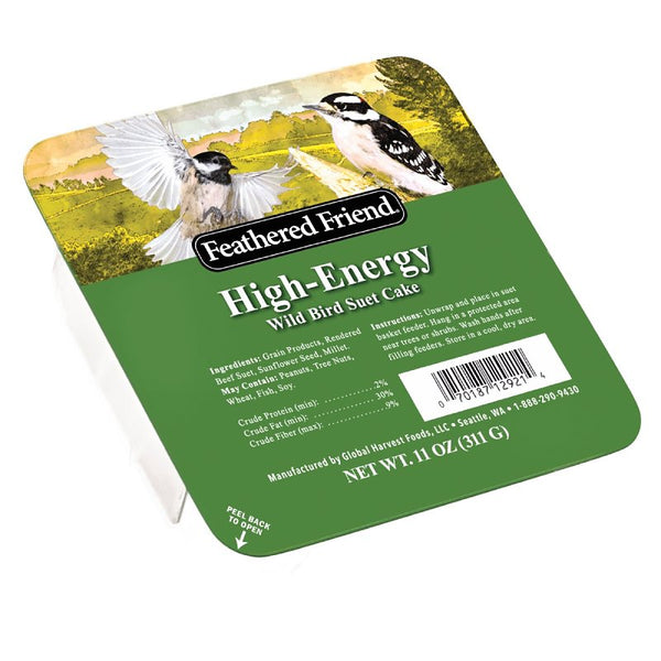 Audubon Park 13065 High Energy Suet Cake Wild Bird Food, 11-Ounces
