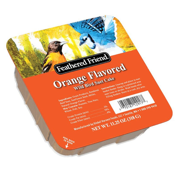 Food Bd Suet Org Dligt 11.75oz 13768