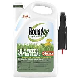 Roundup for Lawns₁ Ready-to-Use with Trigger Sprayer, Tough Weed Killer for Use on Northern Grasses, 1 gal.