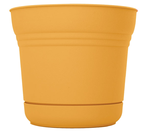 Bloem Saturn Planter w/Saucer (SP0523), Earthy Yellow, 5", 5"