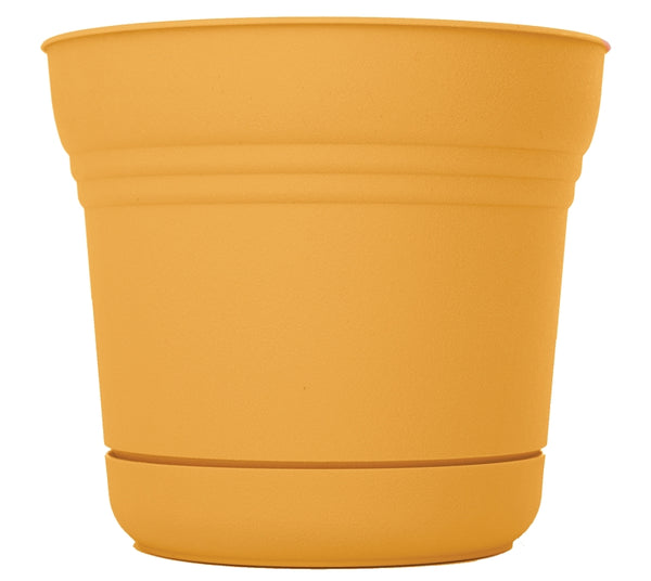 Bloem Saturn Round Planter with Saucer Tray: 12" - Earthy Yellow - Durable Plastic Pot, Matte Finish, Removable Saucer, for Indoor & Outdoor Use, Gardening, 3 Gallon Capacity SP1223