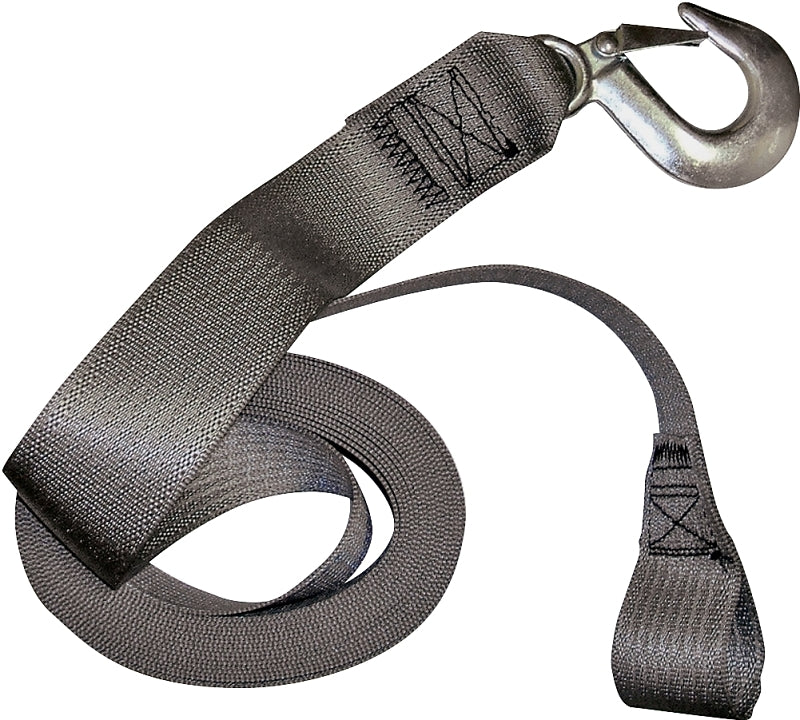 Winch Strap 20'L