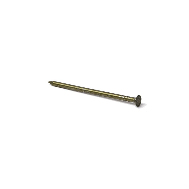 NAIL SNK 10DX2.875" 1#