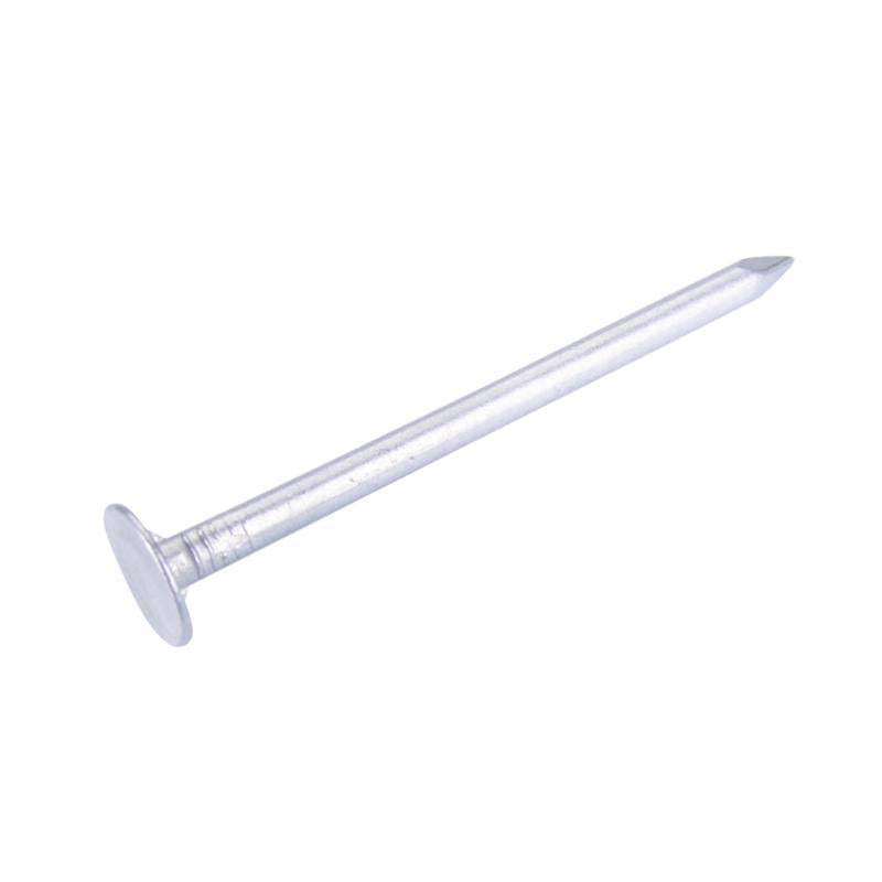Grip-Rite Nail SDG STL 2" 1#