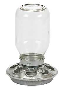 Glass Jar Chick Feeder - Little Giant - Mason Jar Baby Chick Feeder, 1 Quart (Item No. MJ9810)