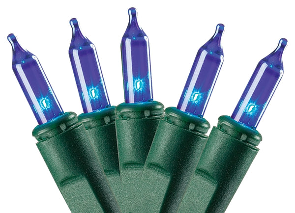 Hometown Holidays U10Y082D holiday light set, Blue