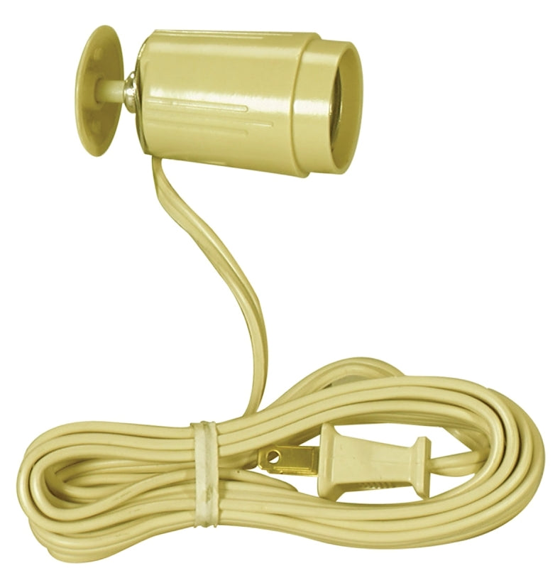 Cooper Wiring Devices 60W Ivy Closet Light