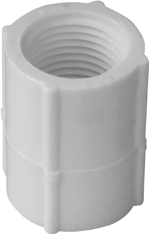 Lasco 430007bc Pipe Coupler, 3/4 Inch, White
