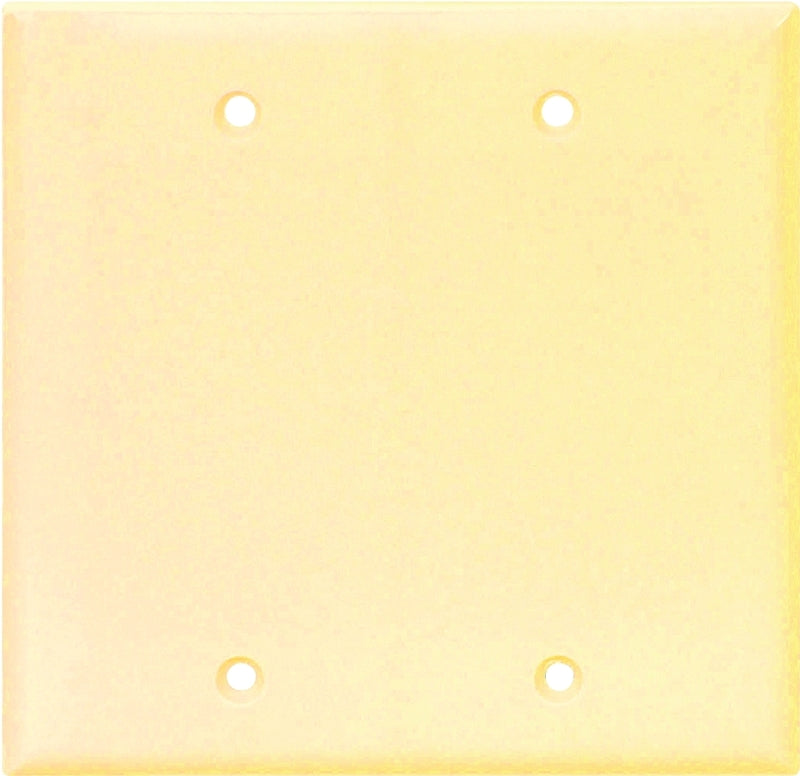 2g Std Ivory Blank Plate