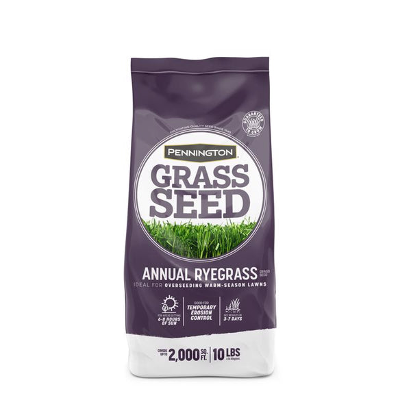 Pennington Grass Sd Annual Rye 10# 100082632
