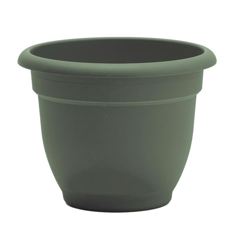 Bloem Ariana 12" Basil Round Self Watering Planter Pot - Rolled Rim Plastic Resin Indoor or Outdoor Gardening Planter with Drainage Holes, Made in USA AP1241