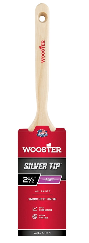 Wooster 5220-2 1/2 Paint Brush, 2-1/2-Inch