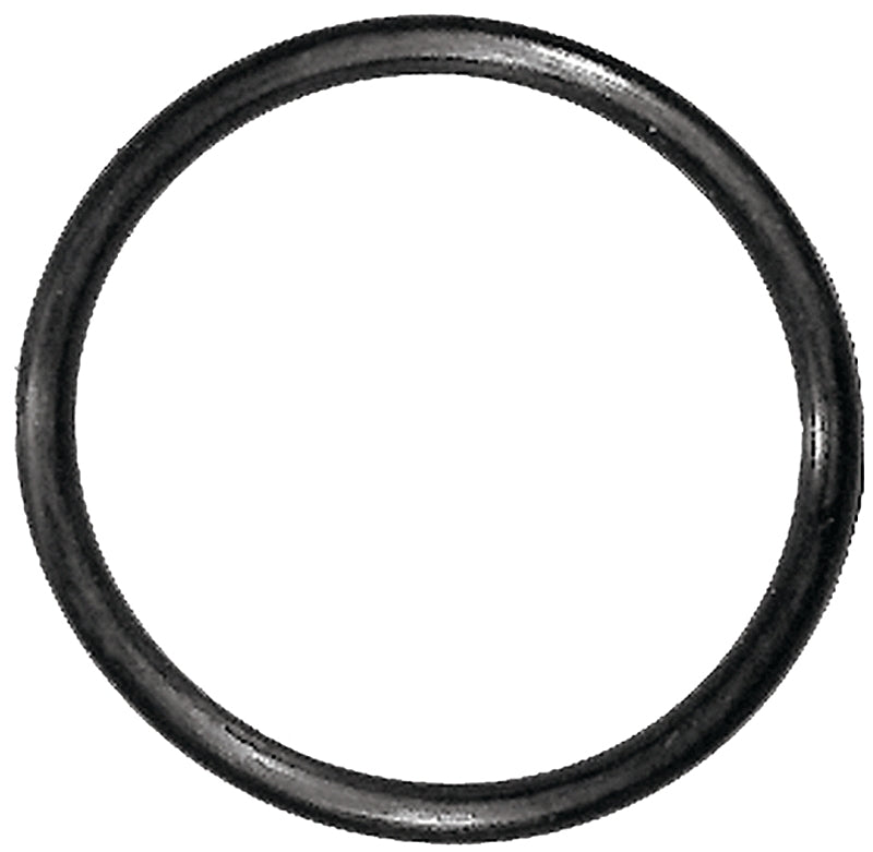 Danco 7/8 in. OD x 3/4 in. ID, Rubber, #30 O-Ring, 10 per Card, 96744