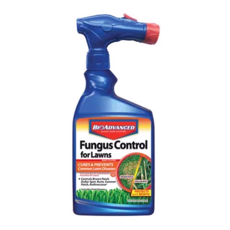 BioAdvanced Fungus Control for Lawns - Ready-to-Spray - Cures and Prevents Lawn Diseases - Up to 1 Month Protection - Covers 5,000 Square Feet - 32 fl oz Bottle