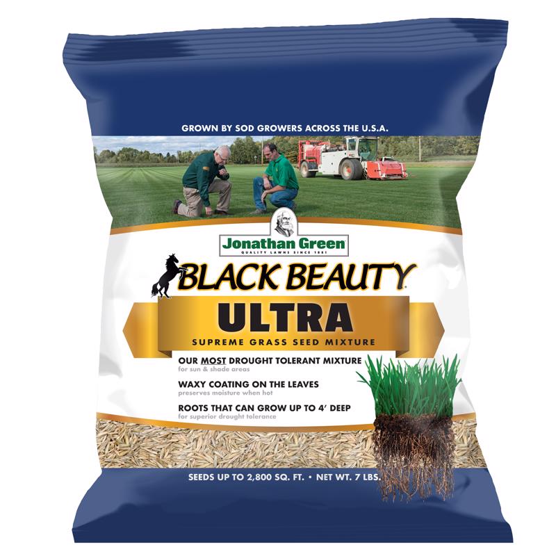 Jonathan Green (10322) Black Beauty Ultra Grass Seed - Cool Season Lawn Seed (7 lb)