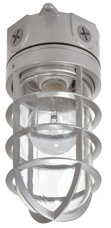 Halo Eaton Lighting VT100G 100W Vapor Tight Light, Gray