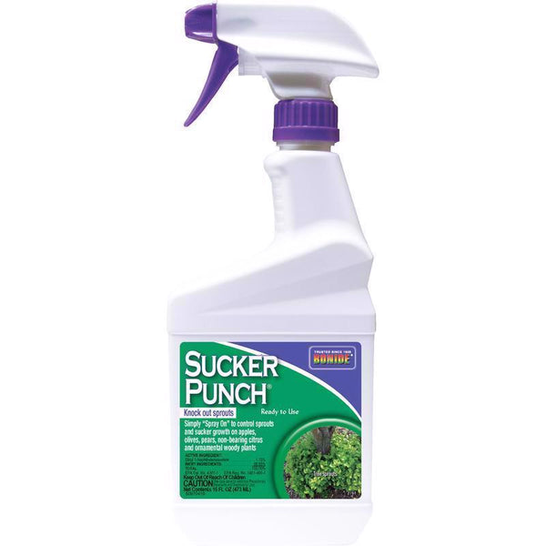 Bonide Sucker Punch Liquid 16 Oz 2761