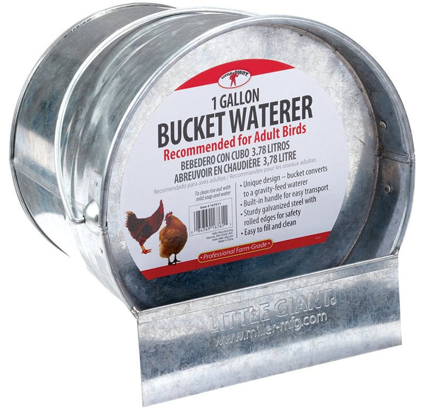 Little Giant 2 in 1 Bucket Poultry Waterer | Galvanized Chicken Waterer | Poultry Fountain and Waterer | 1 Gallon 167611