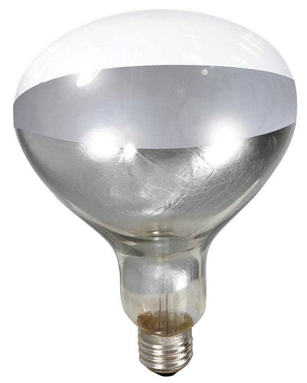 Little Giant? Bulb for Brooder Lamp | Heat Lamp | 6000 Hour Life | 250 Watt | Clear Bulb 170031