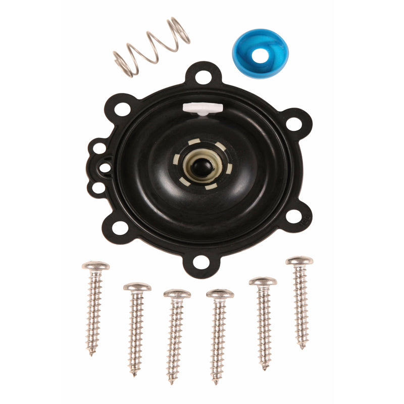 Diaphragm Repair Kit