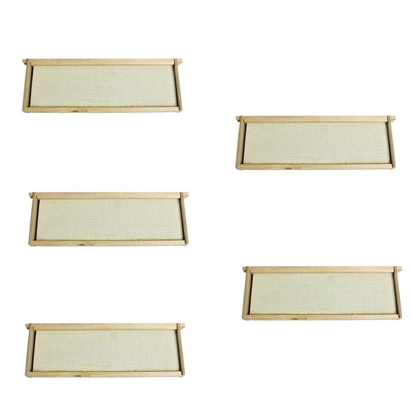Harvest Lane Honey WWFFM-102-5 Assembled Medium Frames & Foundation, 5 Pack