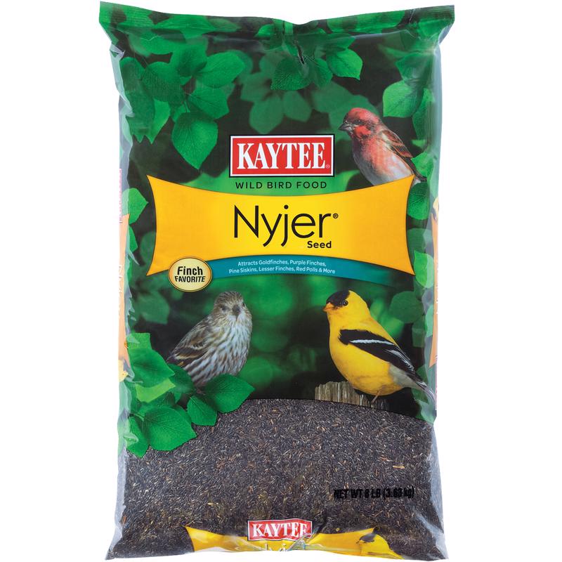 Kaytee Nyjer Wild Bird Food Seed, 8 Pound