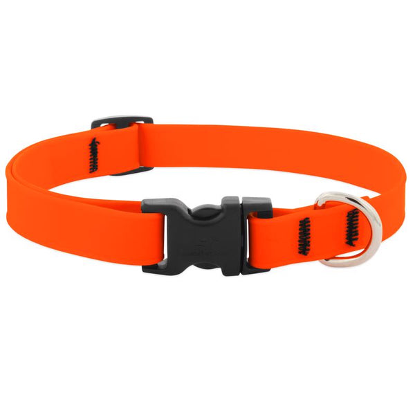LupinePet Waterproof BioThane 3/4" Dog Collar for Small to Medium Breeds, Color: Neon Orange, Small: Adjusts from 9 to 14 in, 3/4-in Wide 28501