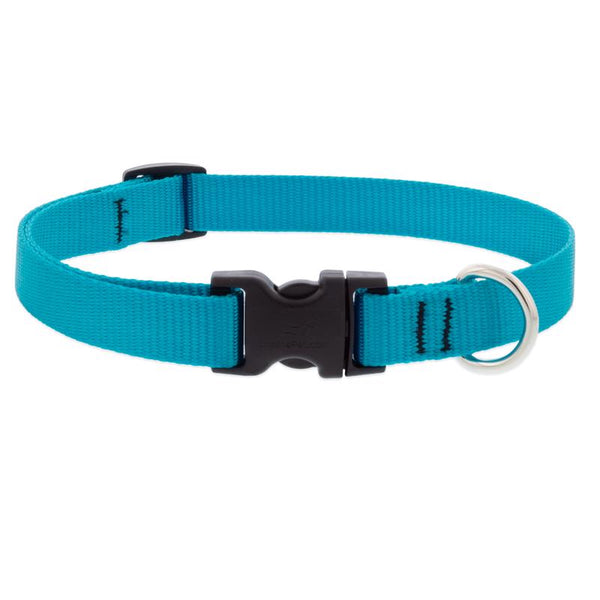 Lupine Dog Collar 3/4" Wide Aqua adjusts 9-14" Long 15001