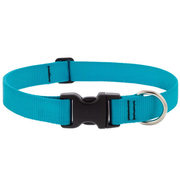 Lupine Dog Collar 1" Wide Aqua adjusts 16-28" Long 15053