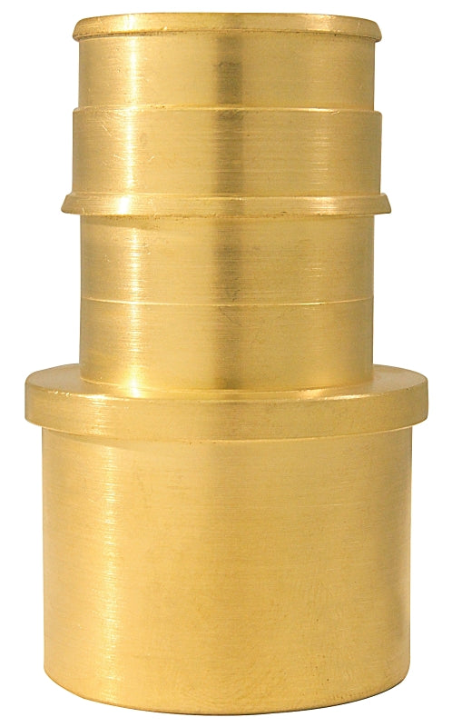 Conbraco Adapter 1f1960 X 1in Fem SWT EPXFSA11