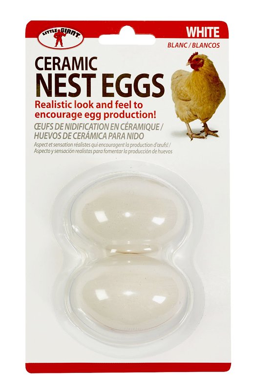 Little Giant Ceramic Nest Eggs | Artificial Eggs to Encourage Egg Production | White Ceggwht