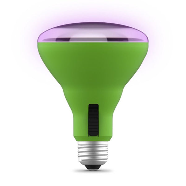 Feit Electric BR30ADJ/GRW/LED/H LED grow light bulb, Green