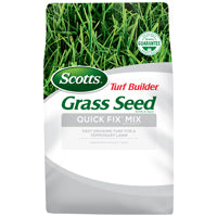 Scotts Turf Builder 18272 Grass Seed, 3 lb