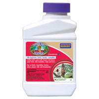 Bonide Deadbug Brew 252 Dead Bug Brew, Liquid, 1 pt Bottle