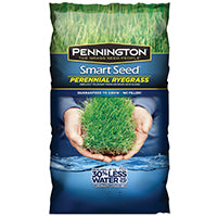 SEED PERENNIAL RYE BLEND 3LB