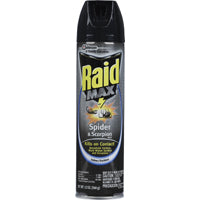 Raid Spider and Scorpion Killer, Kills spiders, scorpions, roaches, ants, Waterbugs, earwigs, 12 Oz 71889