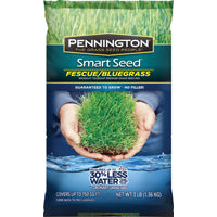 SEED KENTUCKY BLUEGRS BLND 3LB