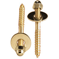 Plumb Pak PP835-151 Screw Set, Brass