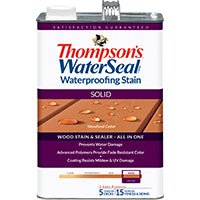 Thompson's WaterSeal TH.093601-16 Waterproofing Stain, Natural Cedar, 1 gal