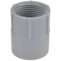 THOMAS & BETTS E942DR-CTN PVC Fem Adapter